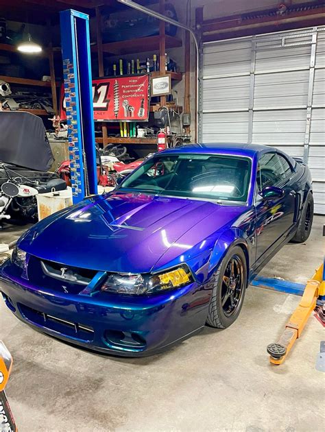 CobrasOnly - 🚗: @mystichrome_joe85 | Facebook