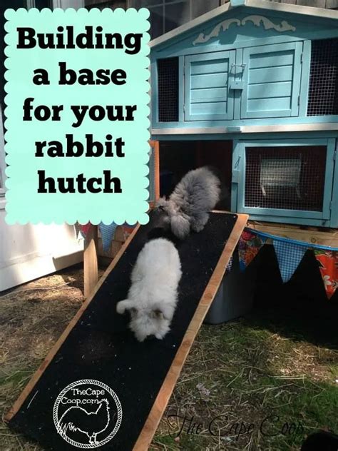 Easy To Build Diy Rabbit Hutch Ideas With Tutorials