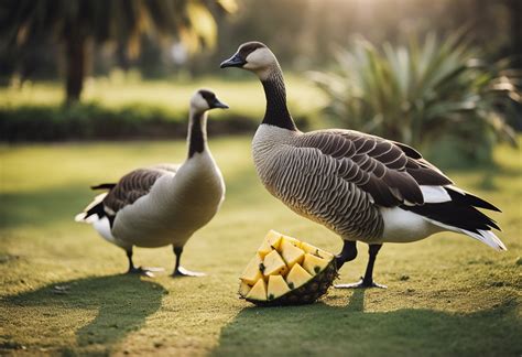 Can Geese Eat Pineapple Everything You Need To Know