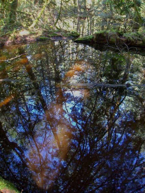 PM Water Cooler Naked Capitalism