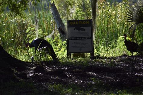 HONTOON ISLAND STATE PARK Updated January 2025 127 Photos 21