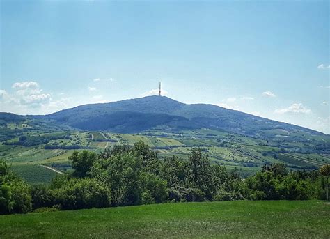 Exploring Tokaj with Taste Hungary - The Quirky Cork