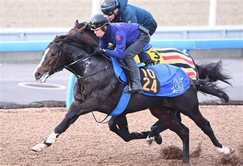 【京成杯】バードウォッチャー いざクラシックへ負けられない 母は3冠牝馬アパパネの良血馬うま屋デイリースポーツ Online