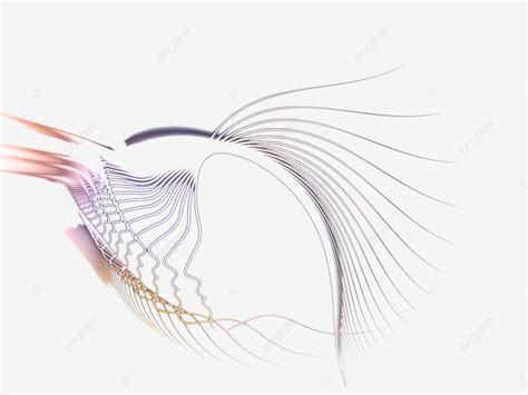 Emergence Of Soul Geometry Creativity, Brain, Knowledge, Pattern PNG Transparent Image and ...