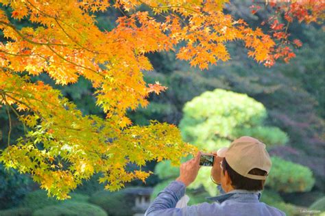 Autumn 2016: Shinjuku Gyoen – Lakbayer