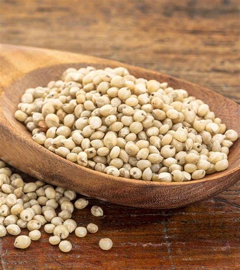 Jowar Sorghum Health Benefits And Recipes Livofy