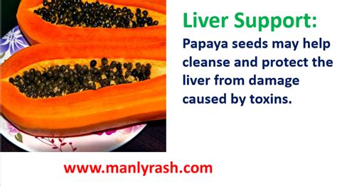 Discover the Healing Properties of Papaya Seeds for Optimal Health - We Care Your Lifestyle