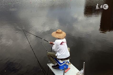 夏季鯉魚垂釣技巧 每日頭條