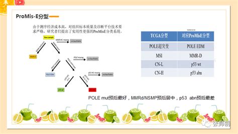 子宫内膜癌分子分型与临床决策（ppt）患者预后治疗