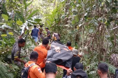 Sempat Hilang Nenek 80 Tahun Di Morotai Ditemukan Tewas Dalam Hutan