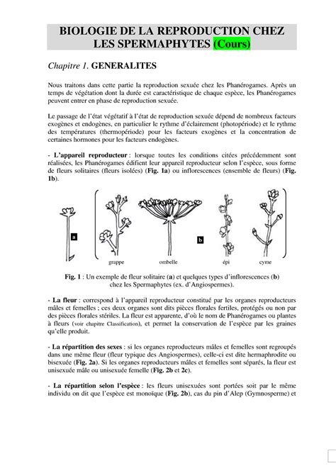 Reproduction Biologie V G Tale Snv L Biologie De La