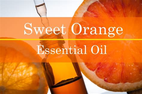 Sweet Orange Essential Oil Benefits And Recipes Barefut Essential Oils