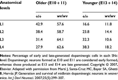 Frequency of generated DA neurons in the substantia nigra pars compacta | Download Table