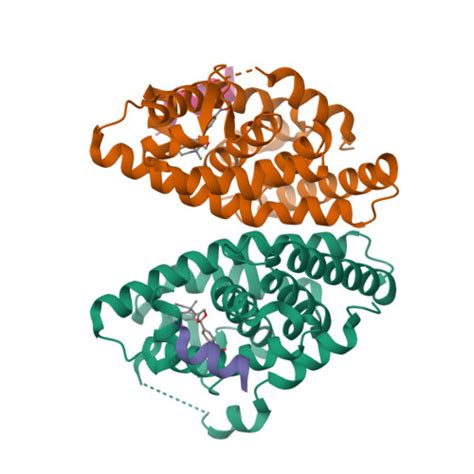 Retinoid X Receptor α 2b Retinoid X Receptors Iuphar Bps Guide To