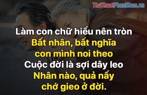 Những Câu Nói Hay Về Con Cái Bất Hiếu