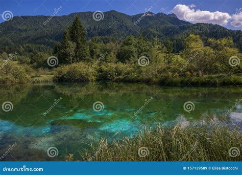 Amazing View of Zelenci Lake in Slovenia Stock Image - Image of park, beauty: 157139589