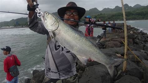 Doa Mancing Ikan Di Laut Dari Nabi Sulaiman Nabi Khidir Dan Bahasa