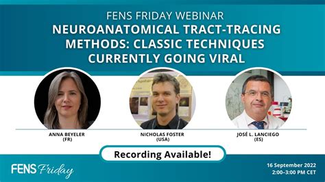 Neuroanatomical Tract Tracing Methods Classic Techniques Currently