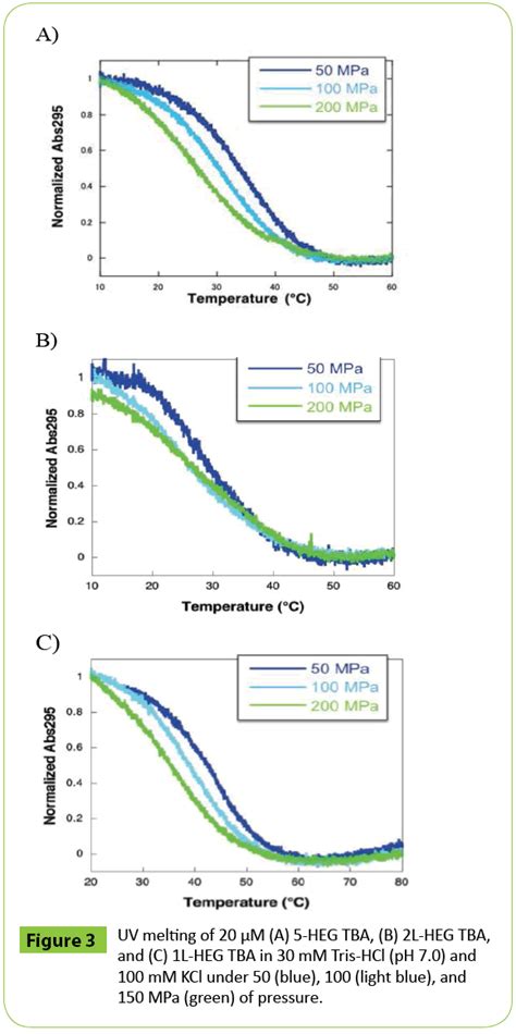 Pressure Effect On The Folding Of G Quadruplex DNA Modified With