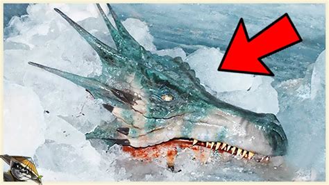 Los científicos han encontrado evidencia de que los dragones existieron