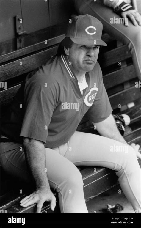 Professional Baseball Player Pete Rose In A Managerial Position Stock