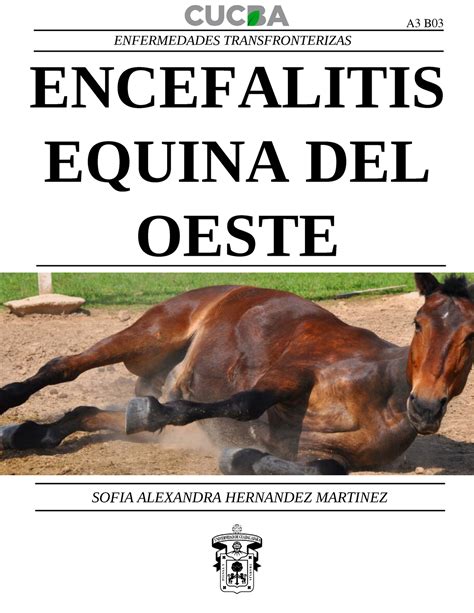 Encefalitis Equina Del Oeste ENCEFALITIS EQUINA DEL OESTE