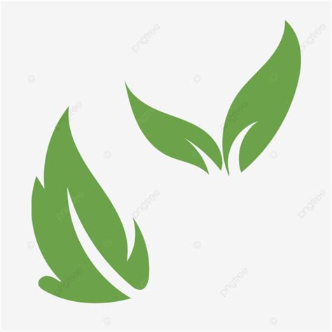 gambar logo daun vektor hiasan daun hijau daun daun png  vektor