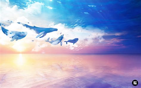 Sky Whales Behance