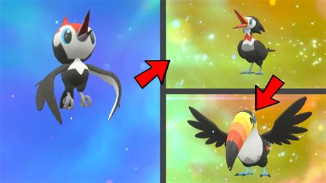 How To Evolve Pikipek Into Trumbeak Then Toucannon In Pokemon Scarlet