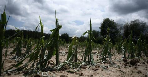 Un Muerto 15 Heridos Y 15 000 Hogares Sin Luz Por Violentas Tormentas