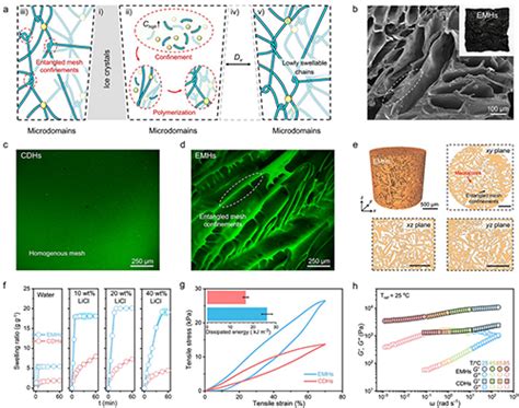 宁波材料所陈涛、肖鹏马普所倪锋 Adv Mater 缠结网状大孔凝胶用于快速空气取水中国聚合物网科教新闻