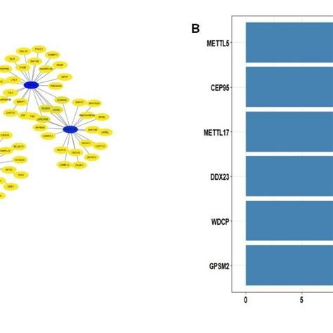 Mining Of Hub Genes A Using Cytoscape To Graphically Depict The Blue Download Scientific