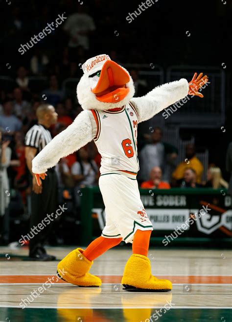 Miami Mascot Sebastian Ibis Performs During Editorial Stock Photo ...