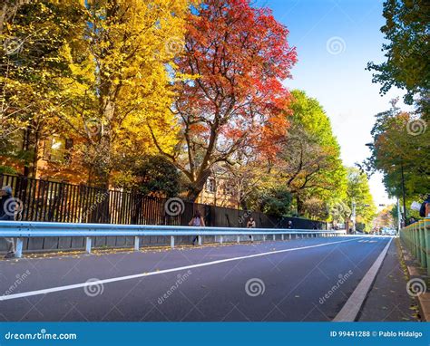 Nara, Japan - July 26, 2017: Beautiful View of Autumn Landscape in the ...