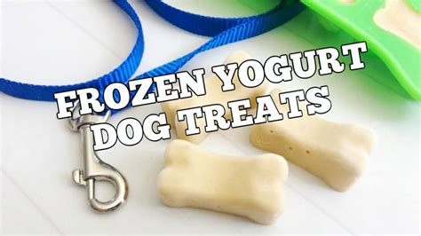 Frozen Homemade Yogurt Dog Treats Youtube