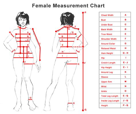 Women S Printable Body Measurement Chart