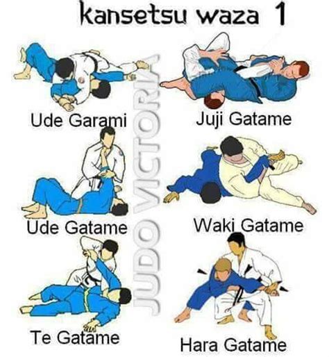 12 sabaki basic steps of japanese jiu jitsu - ukrainenc