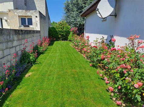 Gazon Naturel En Rouleau Une R Alisation De L Entreprise De Carpentier