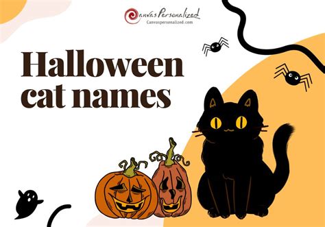 420+ Halloween Cat Names: A Hauntingly Fun Collection