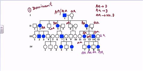 Pedigree Analysis Sex Linked Dominant Pedigree Youtube