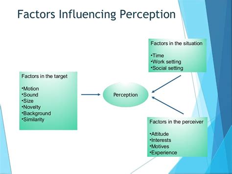 Perceptual Process Organizational Behaviour