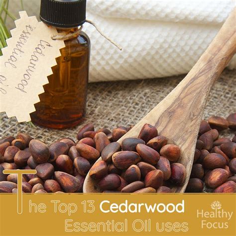 13 Science Backed Cedarwood Essential Oil Uses Healthy Focus