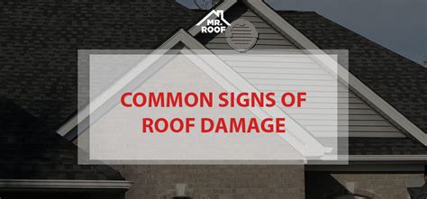 Common Signs of Roof Damage - Mr Roof