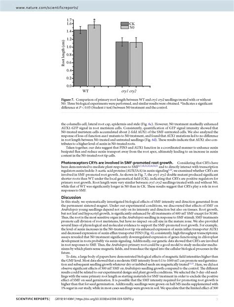 Static Magnetic Field Regulates Arabidopsis Root Growth Via Auxin