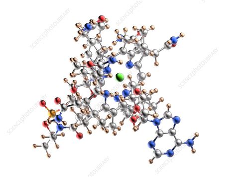 Vitamin B12 cobalamin molecule - Stock Image - F008/9421 - Science ...