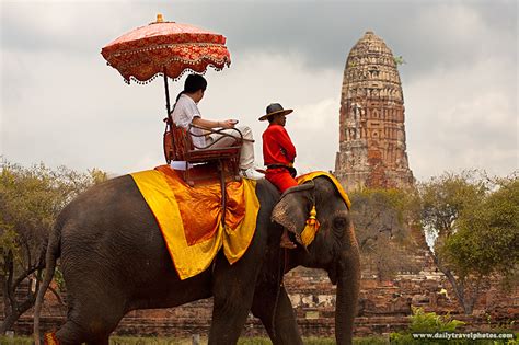 Pachyderm Package Tour Tourists Leisurely See The Sites On Elephant