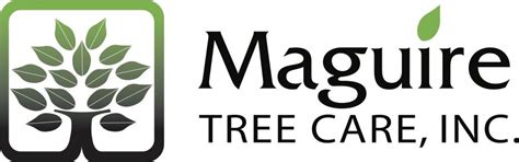 Tree Care Services — Maguire Tree Care