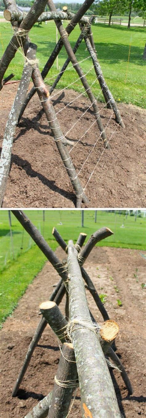 15+ DIY Pea Trellis Ideas for Productive & Beautiful Gardens (2025)