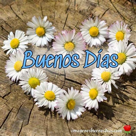 imágenes buenos días con flores » Imágenes Buenos Días