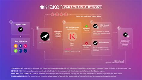 Kraken Unveils Parachain Auction Platform Fintech News